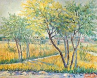 Sabiha Nasar-ud-deen, Golden Fields,  24 x 30 Inch, Oil with knife on Canvas, Landscape Painting, AC-SBND-002